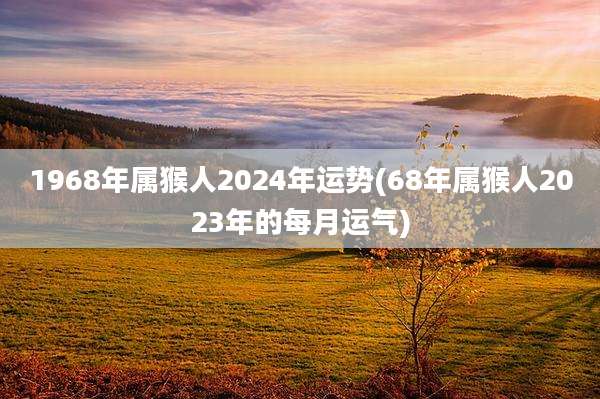 1968年属猴人2024年运势(68年属猴人2023年的每月运气)