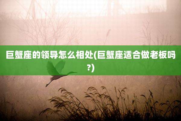 巨蟹座的领导怎么相处(巨蟹座适合做老板吗?)