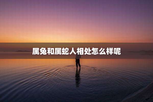 属兔和属蛇人相处怎么样呢