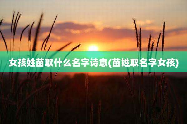 女孩姓苗取什么名字诗意(苗姓取名字女孩)