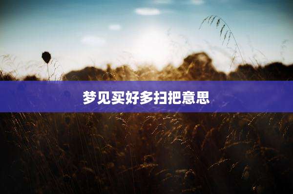 梦见买好多扫把意思
