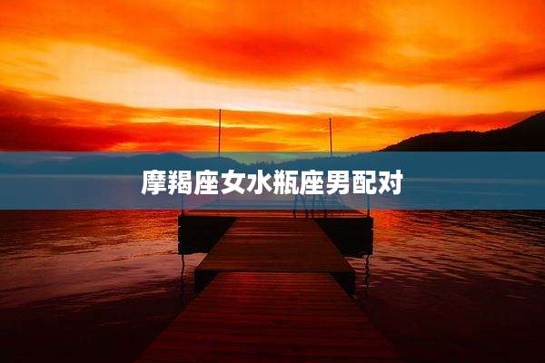 摩羯座女水瓶座男配对