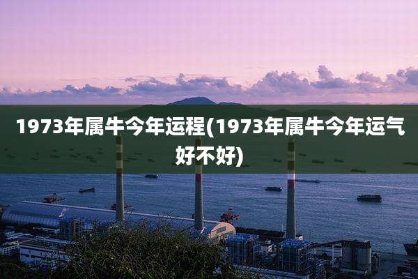 1973年属牛今年运程(1973年属牛今年运气好不好)