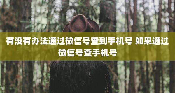 有没有办法通过微信号查到手机号 如果通过微信号查手机号