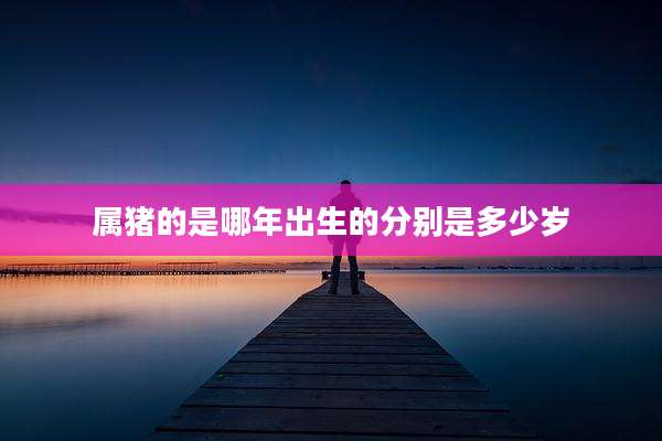 属猪的是哪年出生的分别是多少岁