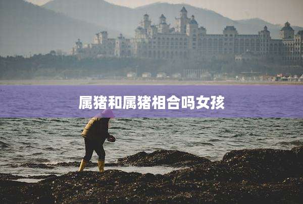 属猪和属猪相合吗女孩