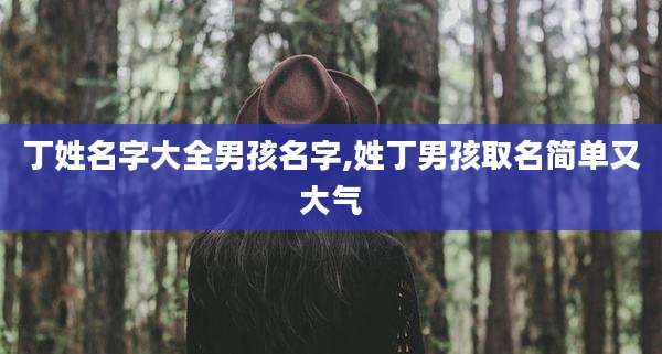 丁姓名字大全男孩名字,姓丁男孩取名简单又大气