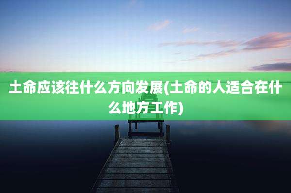 土命应该往什么方向发展(土命的人适合在什么地方工作)