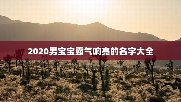 2020男宝宝霸气响亮的名字大全