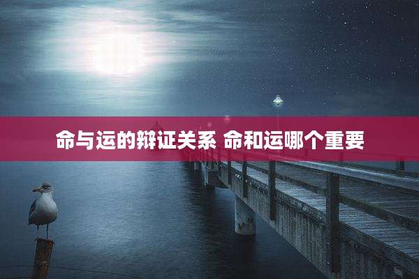 命与运的辩证关系 命和运哪个重要