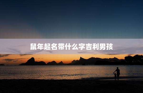 鼠年起名带什么字吉利男孩