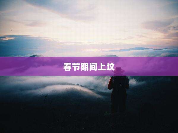 春节期间上坟