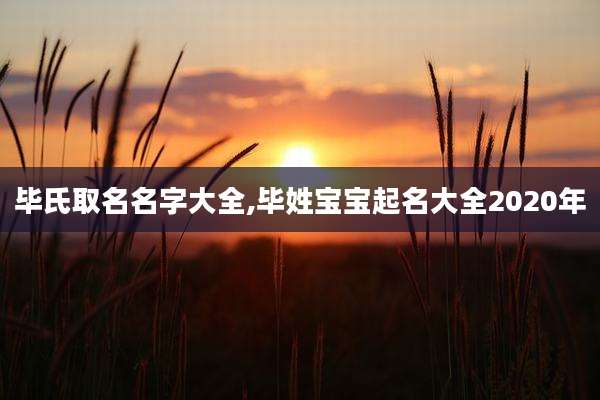 毕氏取名名字大全,毕姓宝宝起名大全2020年