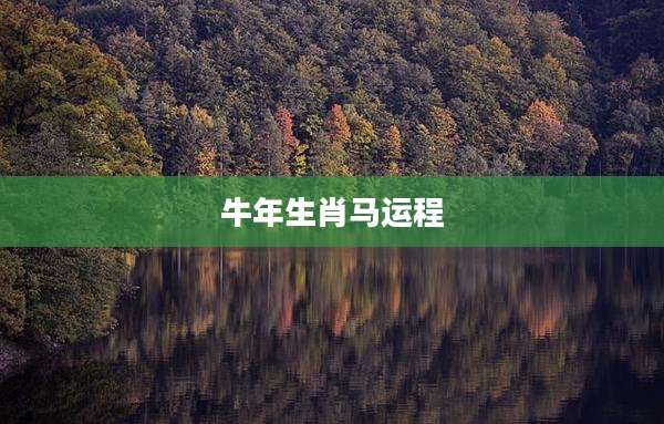 牛年生肖马运程
