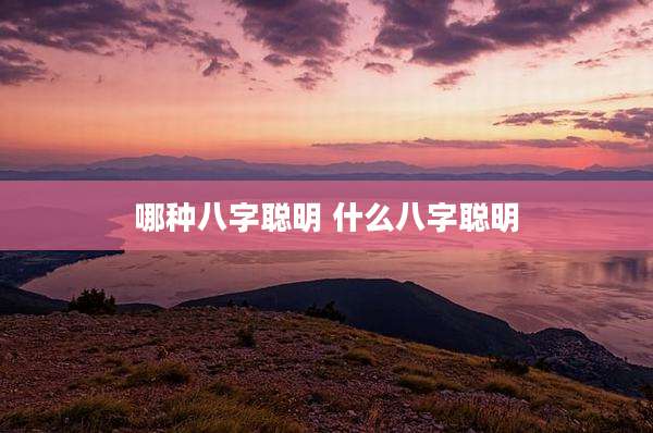 哪种八字聪明 什么八字聪明