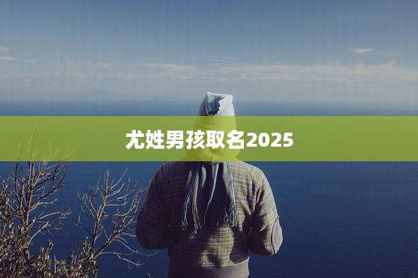 尤姓男孩取名2025
