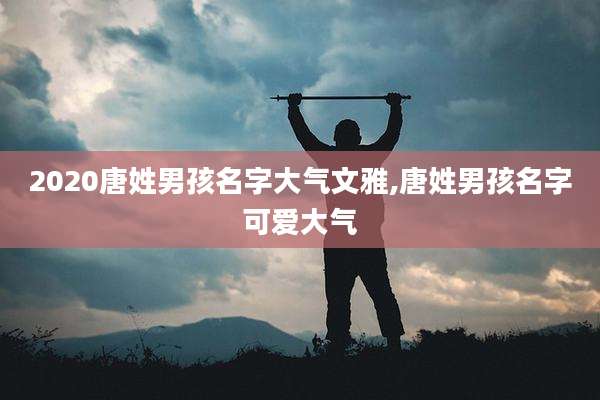 2020唐姓男孩名字大气文雅,唐姓男孩名字可爱大气