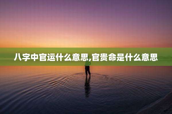 八字中官运什么意思,官贵命是什么意思