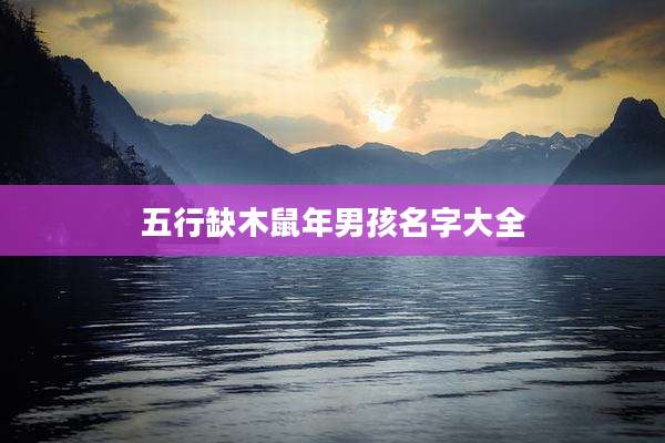 五行缺木鼠年男孩名字大全