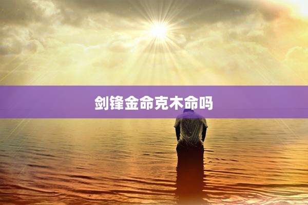 剑锋金命克木命吗