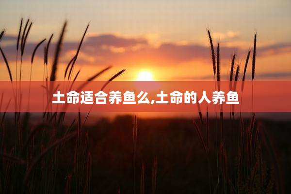 土命适合养鱼么,土命的人养鱼