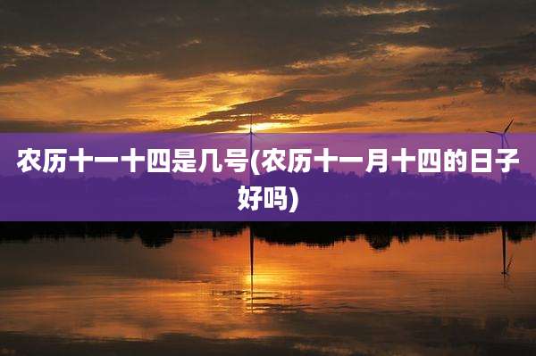 农历十一十四是几号(农历十一月十四的日子好吗)