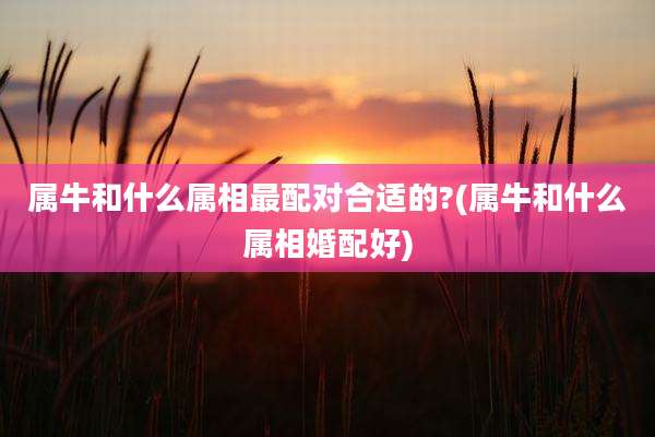 属牛和什么属相最配对合适的?(属牛和什么属相婚配好)