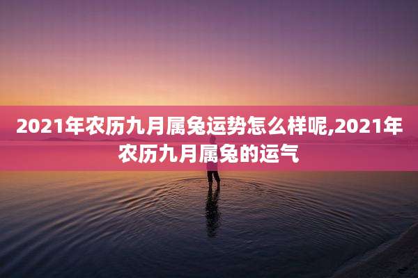 2021年农历九月属兔运势怎么样呢,2021年农历九月属兔的运气