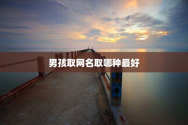 男孩取网名取哪种最好