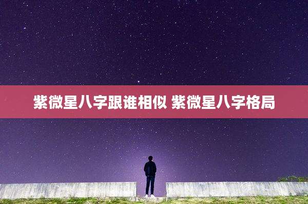 紫微星八字跟谁相似 紫微星八字格局