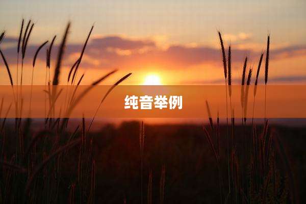 纯音举例