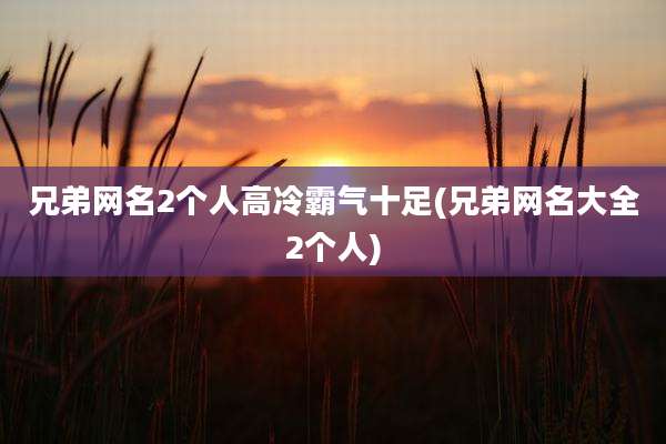 兄弟网名2个人高冷霸气十足(兄弟网名大全2个人)