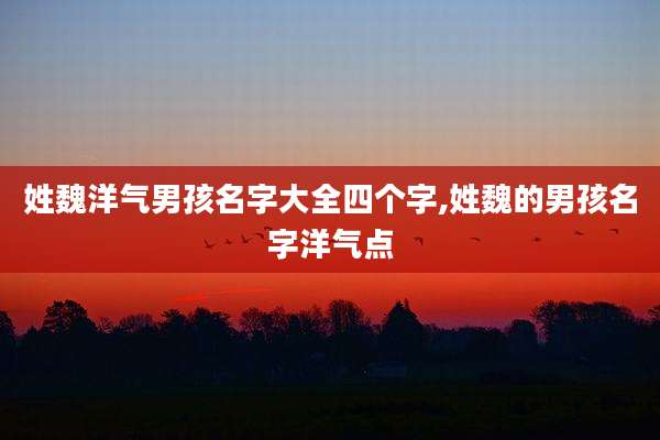 姓魏洋气男孩名字大全四个字,姓魏的男孩名字洋气点