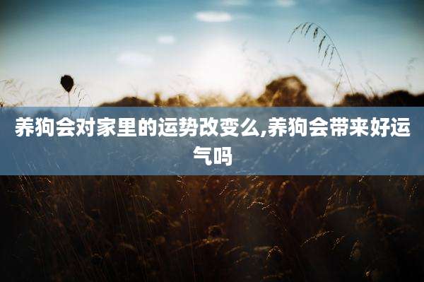 养狗会对家里的运势改变么,养狗会带来好运气吗