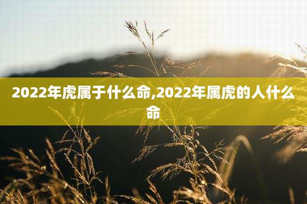 2022年虎属于什么命,2022年属虎的人什么命