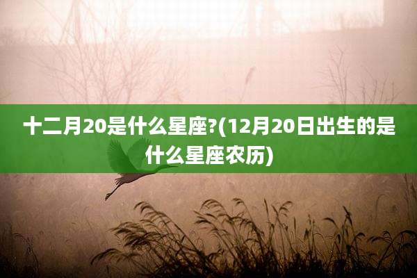 十二月20是什么星座?(12月20日出生的是什么星座农历)