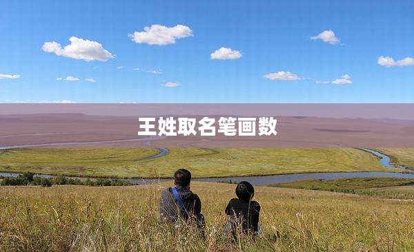 王姓取名笔画数