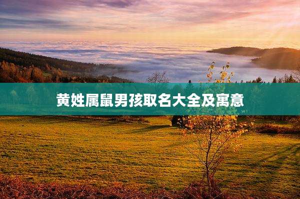 黄姓属鼠男孩取名大全及寓意
