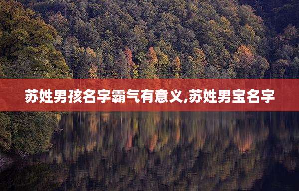 苏姓男孩名字霸气有意义,苏姓男宝名字