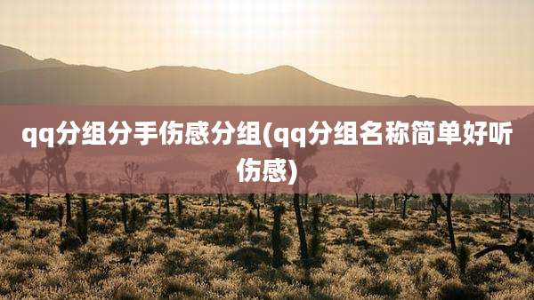 qq分组分手伤感分组(qq分组名称简单好听伤感)
