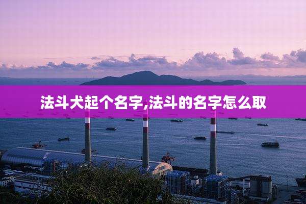 法斗犬起个名字,法斗的名字怎么取