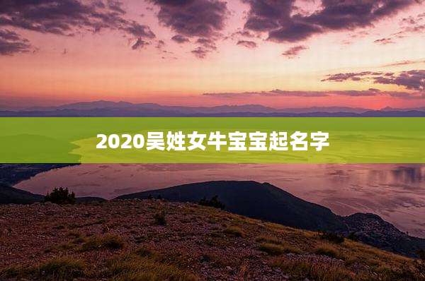 2020吴姓女牛宝宝起名字
