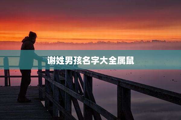 谢姓男孩名字大全属鼠