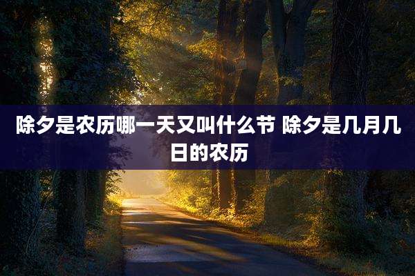 除夕是农历哪一天又叫什么节 除夕是几月几日的农历