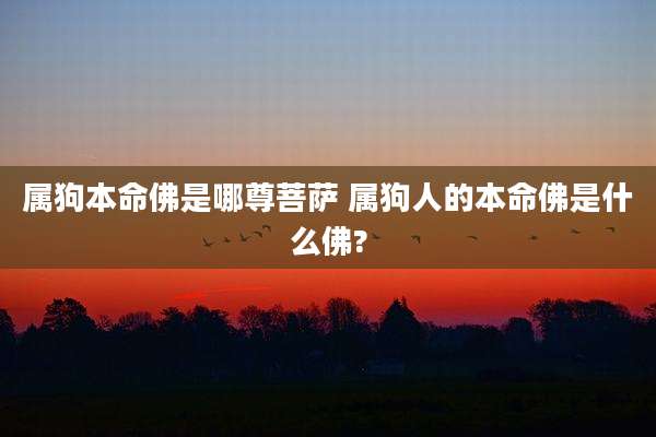属狗本命佛是哪尊菩萨 属狗人的本命佛是什么佛?