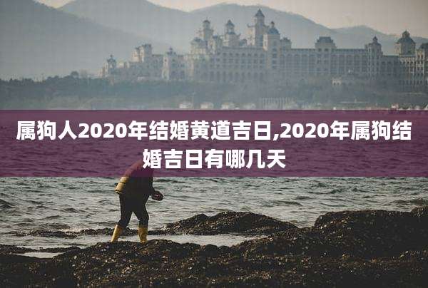 属狗人2020年结婚黄道吉日,2020年属狗结婚吉日有哪几天