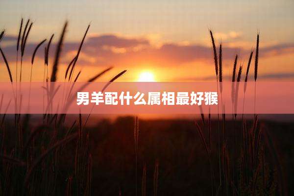 男羊配什么属相最好猴