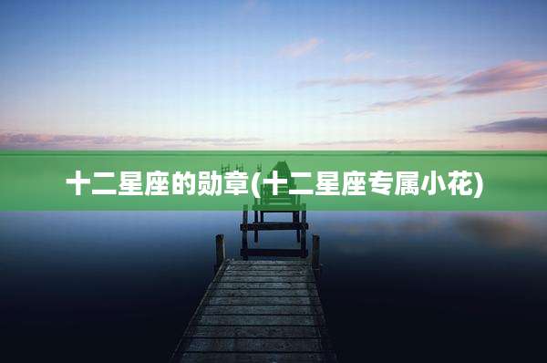 十二星座的勋章(十二星座专属小花)
