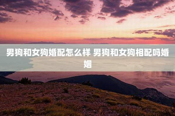 男狗和女狗婚配怎么样 男狗和女狗相配吗婚姻