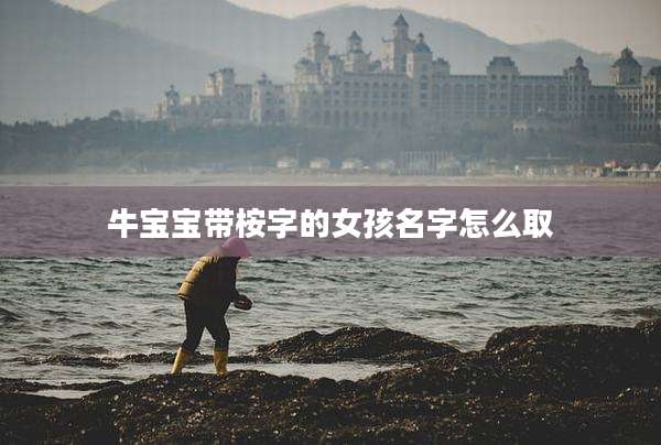 牛宝宝带桉字的女孩名字怎么取